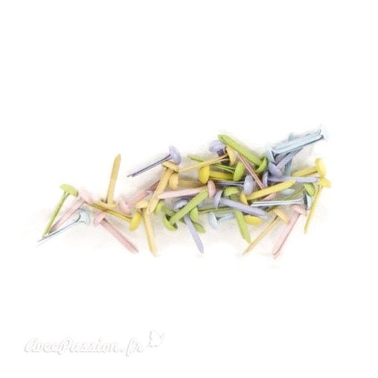 Attaches parisiennes naissance tons pastels 3mm