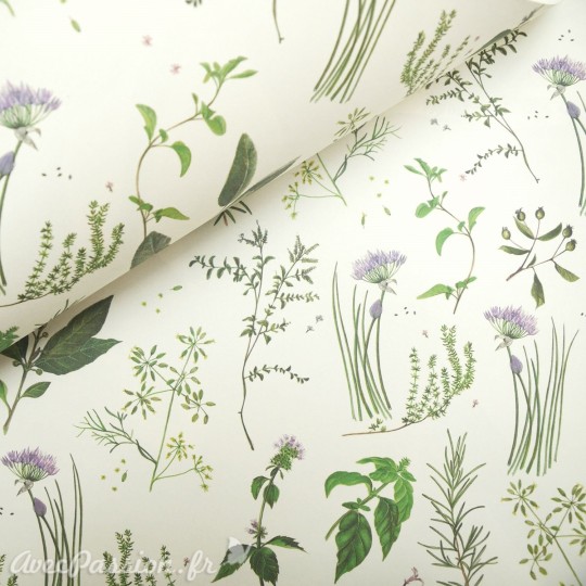 Papier tassotti à motifs herbes aromatiques
