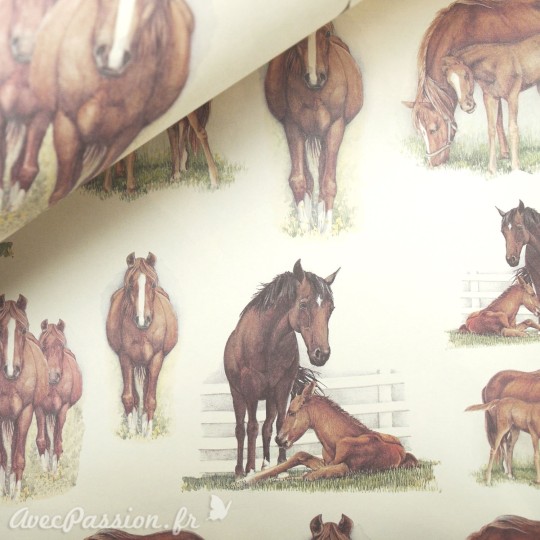 Papier tassotti à motifs chevaux Papier tassotti à motifs chevaux
