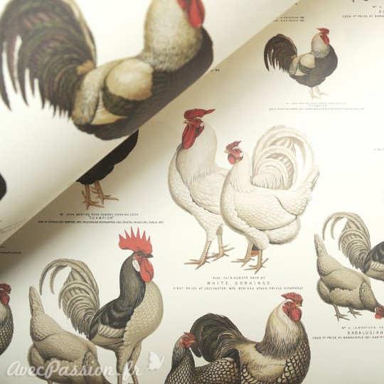 Papier tassotti à motifs coqs et poules