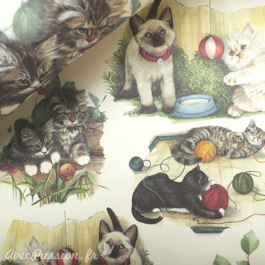 Papier tassotti à motifs chats Papier tassotti à motifs chats