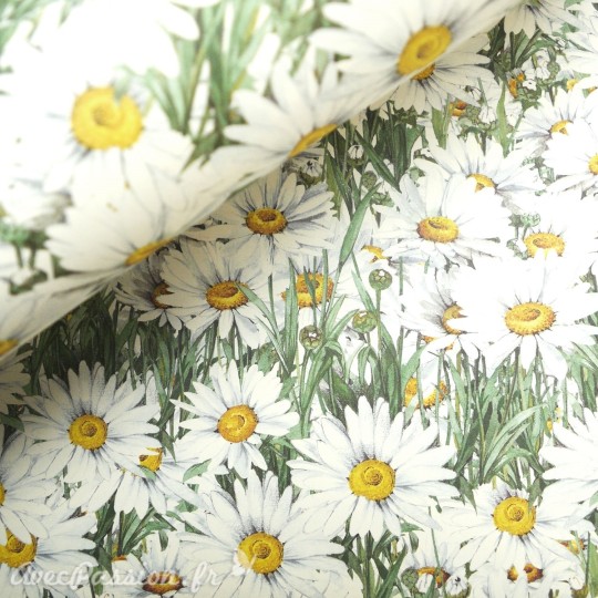 Papier tassotti à motifs marguerite