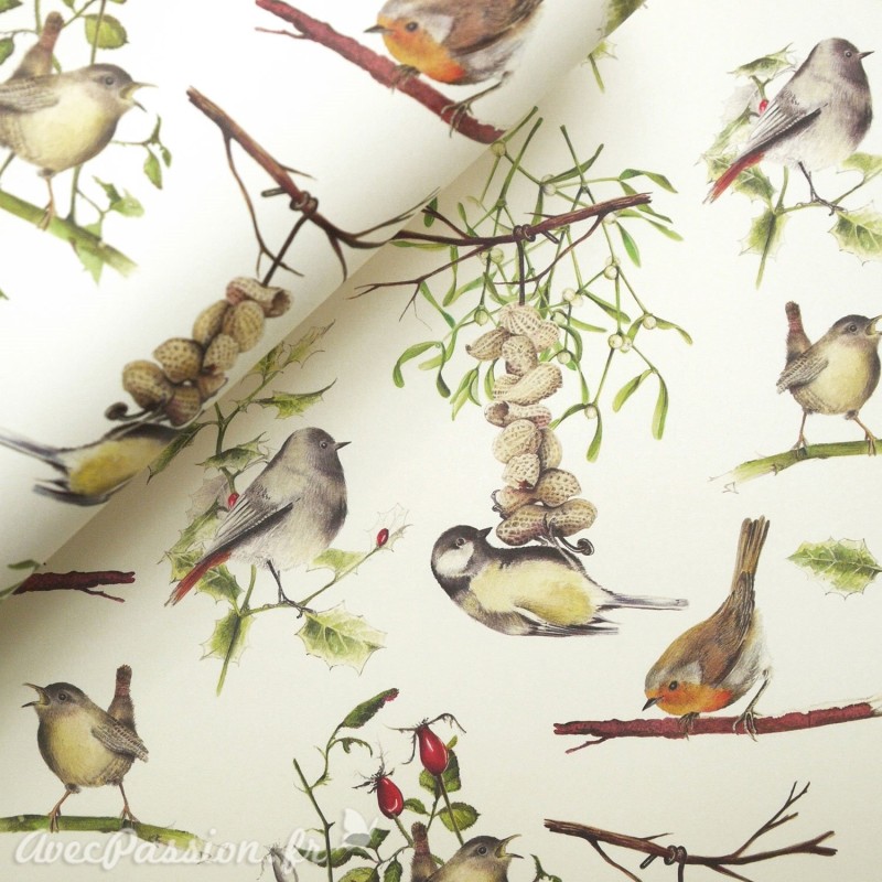 Papier tassotti à motifs oiseaux sur la branche