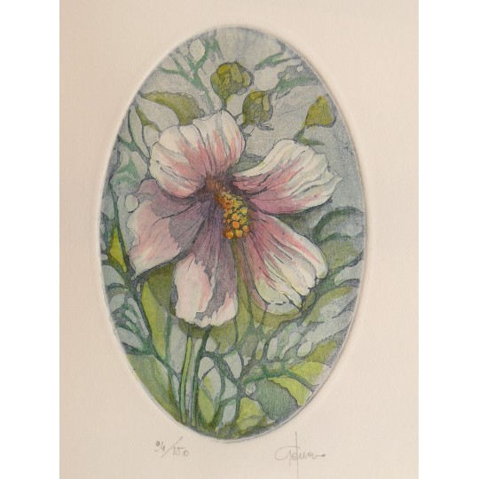 Gravure originale eau forte ovale hibiscus Gravure originale eau forte ovale hibiscus