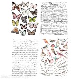 Transfert pelliculable Redesign Prima marketing décor Parisian Butterflies 4 motifs