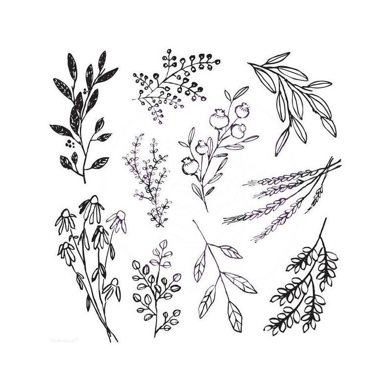 Tampon iron orchid designs