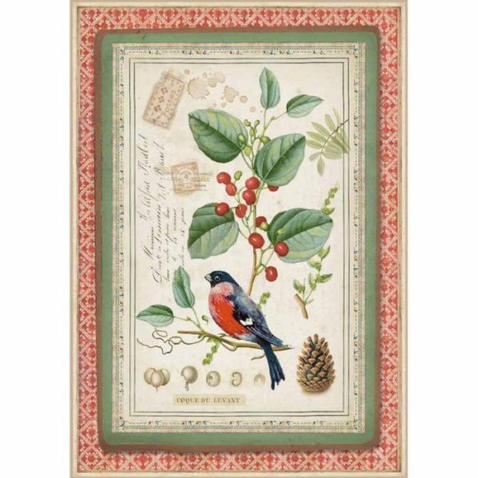 Papier de riz Stamperia 21x29,7cm oiseaux sur houx Papier de riz Stamperia 21x29,7cm oiseaux sur houx