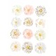 Fleurs Prima Marketing Poetic Rose Flowers Rhyme & Reason