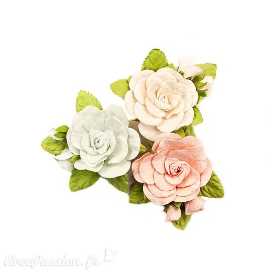 Fleurs Prima Marketing Poetic Rose Flowers Sweet Roses