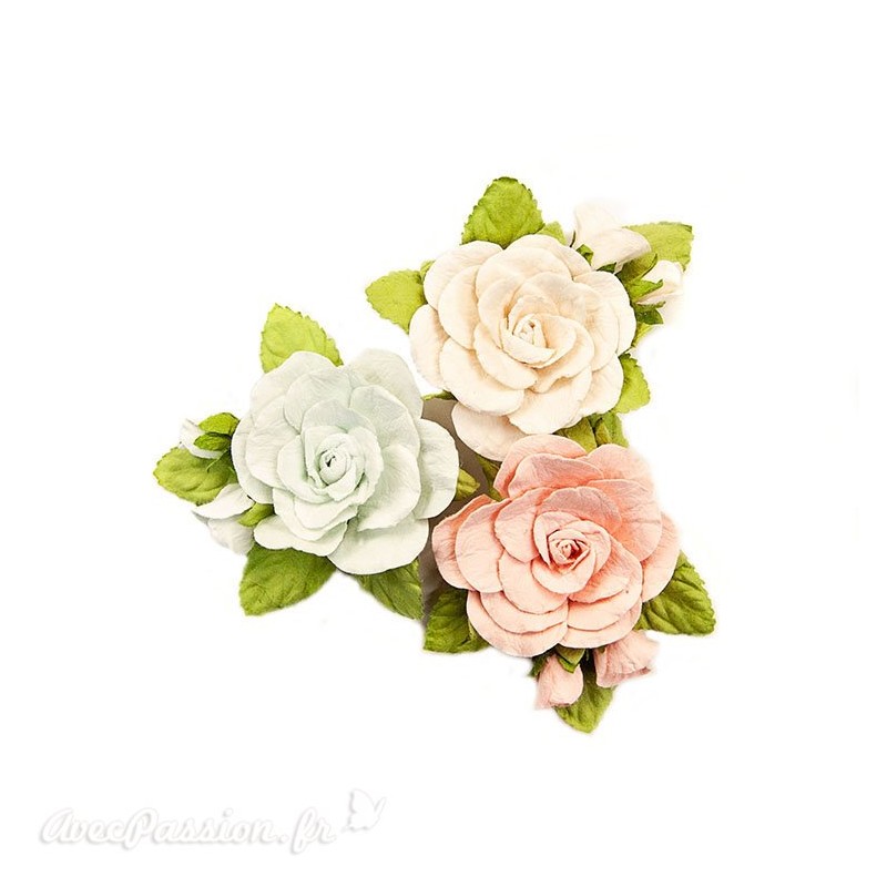 Fleurs Prima Marketing Poetic Rose Flowers Sweet Roses
