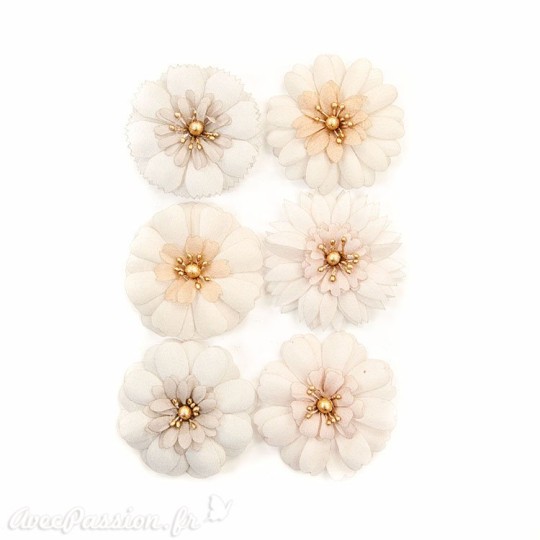 Fleurs Prima Marketing Pretty Pale Flowers Pale Petals