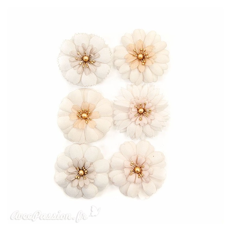 Fleurs Prima Marketing Pretty Pale Flowers Pale Petals