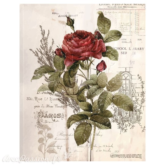Transfert pelliculable Redesign Prima marketing décor Botanical Rose