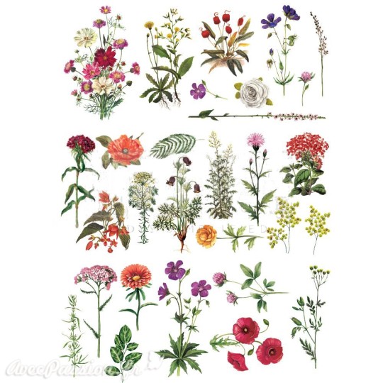 Transfert pelliculable Redesign Prima marketing décor Floral Collection