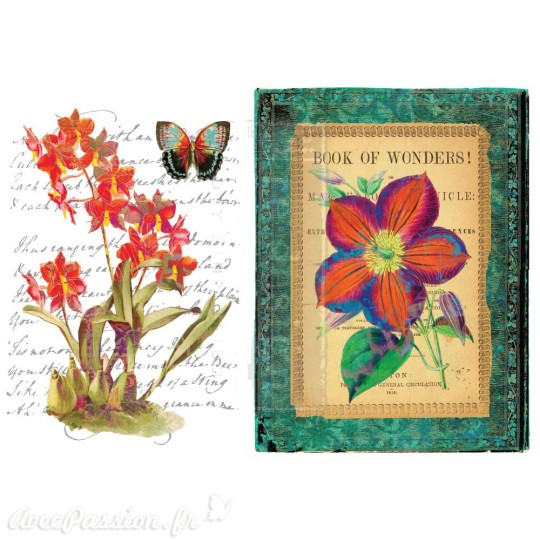 Transfert pelliculable Redesign Prima marketing décor Wondrous Flora