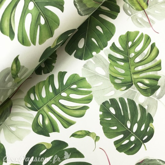 Papier italien motifs philidendron fond blanc