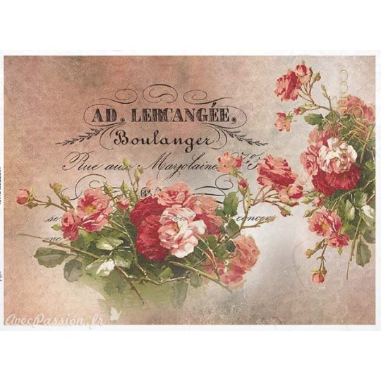 Papier de riz R1187