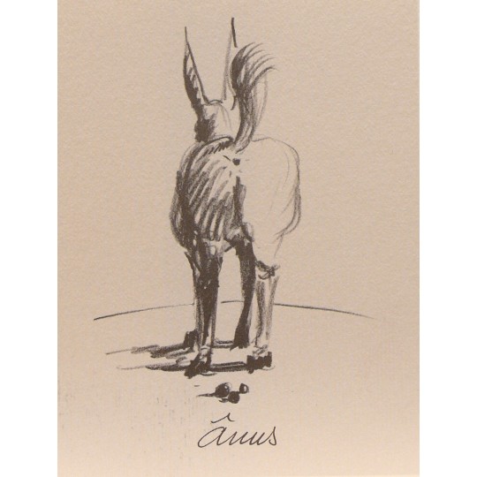 Carte postale les âneries Anus Carte postale les âneries Anus