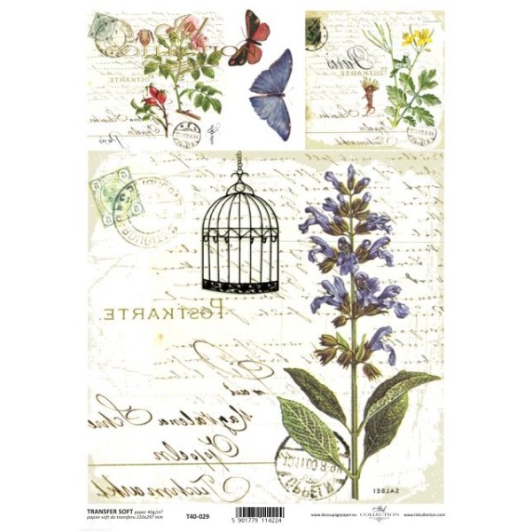 Transfert d'image couleur motif shabby chic T4029