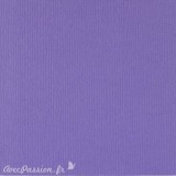 Papier scrapbooking uni Papicolor 30x30cm Violet Foncé