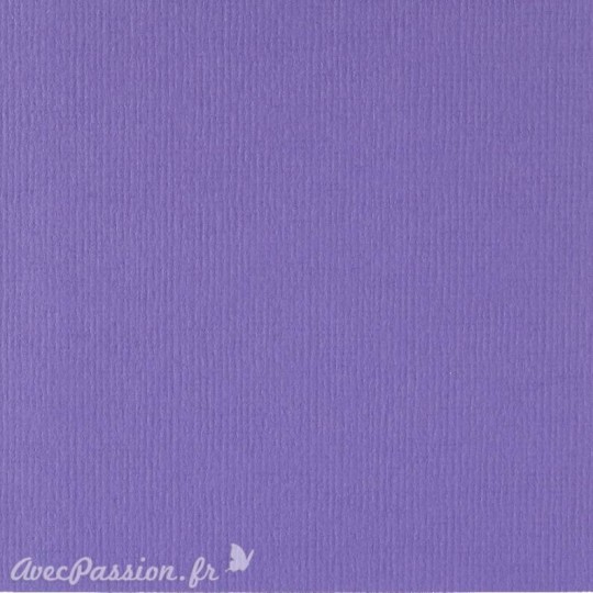 Papier scrapbooking uni Papicolor 30x30cm Violet Foncé Papier scrapbooking uni Papicolor 30x30cm Violet Foncé