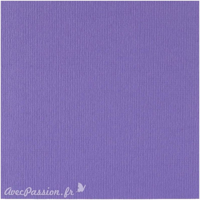 Papier scrapbooking uni Papicolor 30x30cm Violet Foncé