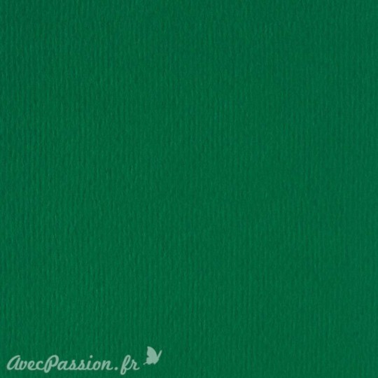 Papier scrapbooking uni Papicolor 30x30cm Vert Noël