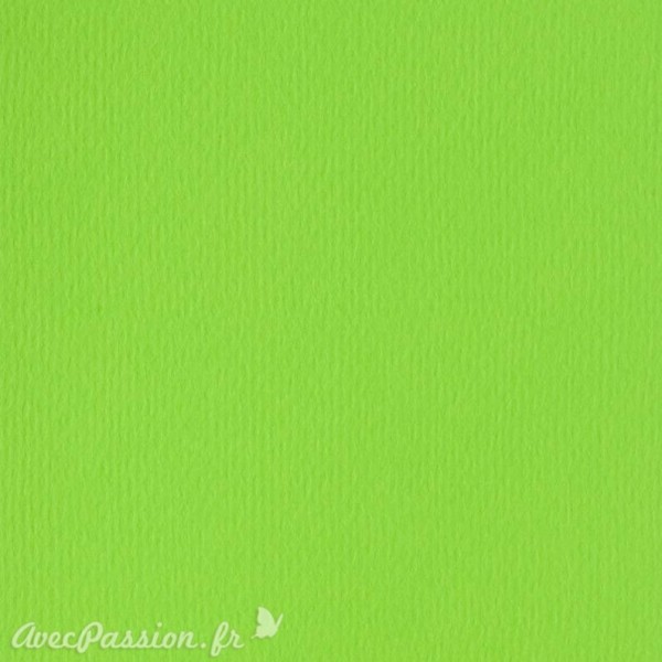 Papier scrapbooking uni Papicolor 30x30cm Vert Claire