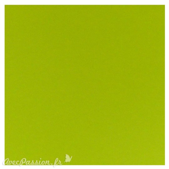 Papier scrapbooking uni Papicolor 30x30cm Apple Green