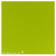 Papier scrapbooking uni Papicolor 30x30cm Apple Green