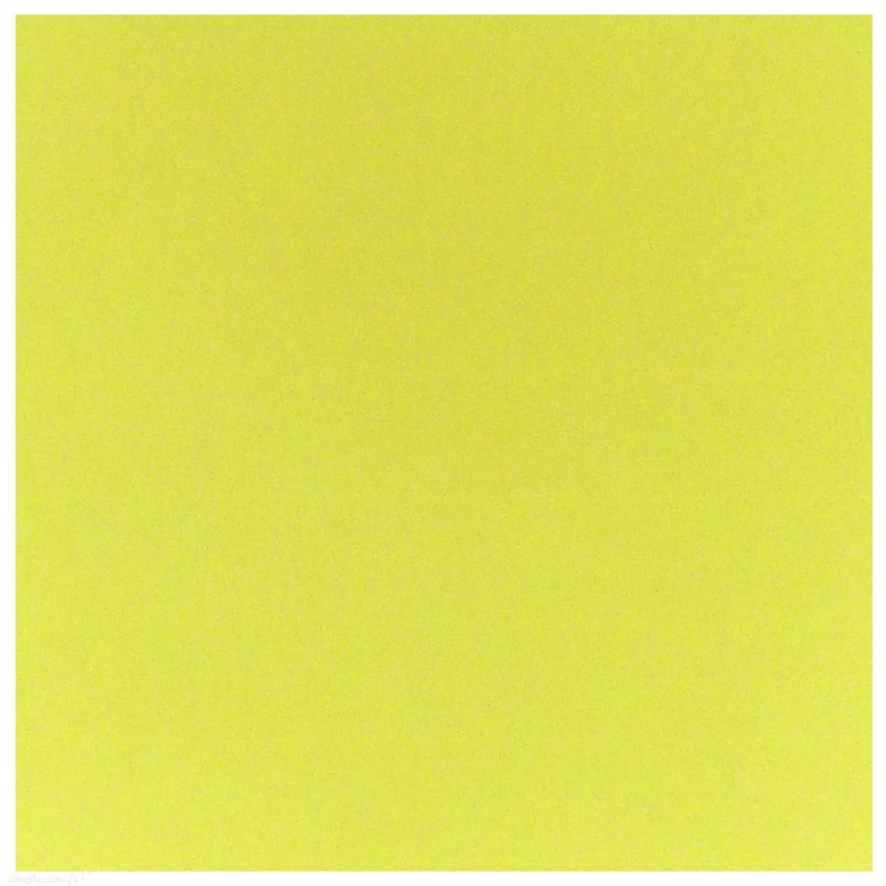 Papier scrapbooking uni Papicolor 30x30cm Soft Green