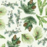 Papier tassotti à motifs Noël branches de sapin fond clair