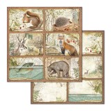 Papier scrapbooking Forest Stamperia 10f recto verso 30x30 assortiment