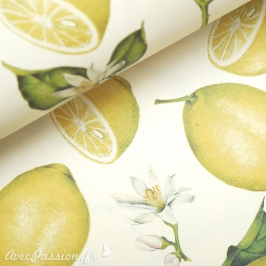 Papier tassotti motifs citrons Papier tassotti motifs citrons