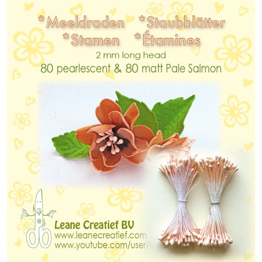 Pistils Etamines pour coeurs de fleurs rose saumon nacré & mat 2mm