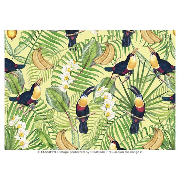 Papier tassotti à motifs toucan