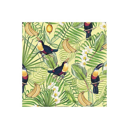 Papier tassotti à motifs toucan