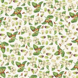 Papier tassotti à motifs pistache