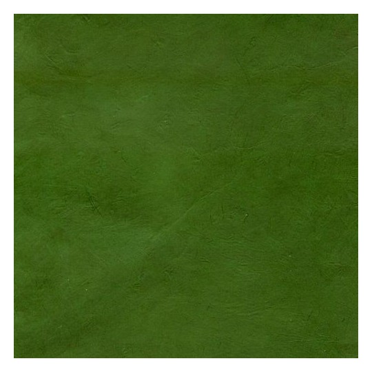 Papier népalais lokta lamaLi vert nature Papier népalais lokta lamaLi vert nature