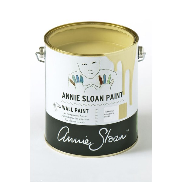 Peinture Wall Paint Annie Sloan Versailles 100ml