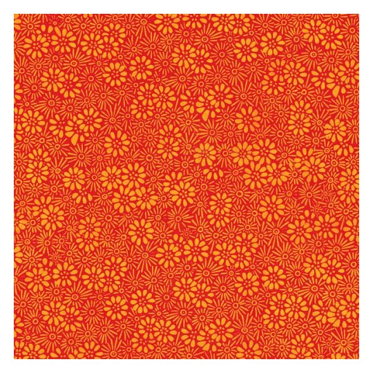 Papier népalais lokta lamaLi prairie orange ton sur ton