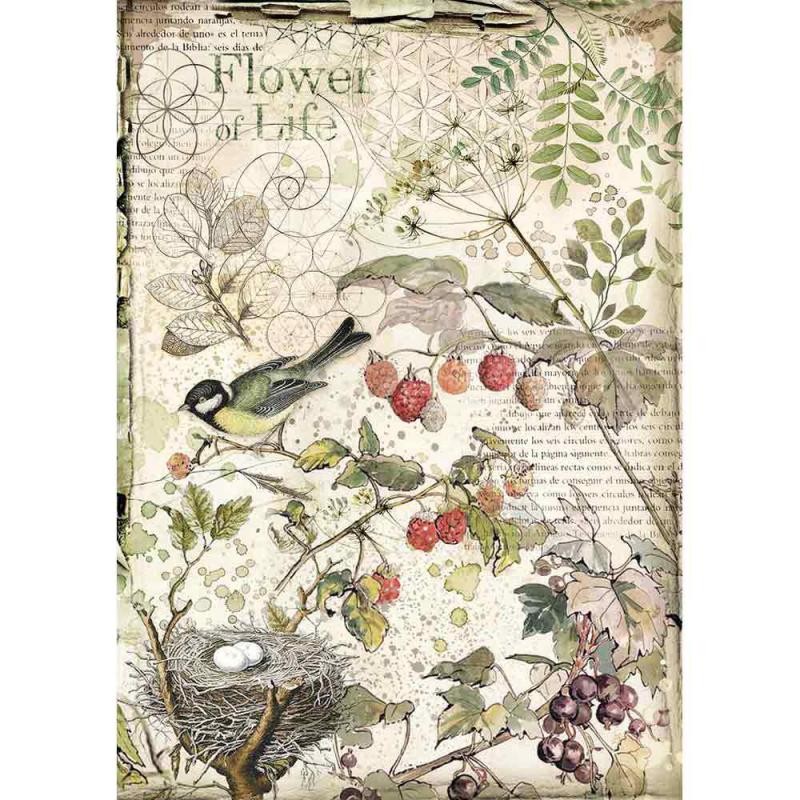 Papier de riz Stamperia 21x29,7cm Fleurs et Fruits