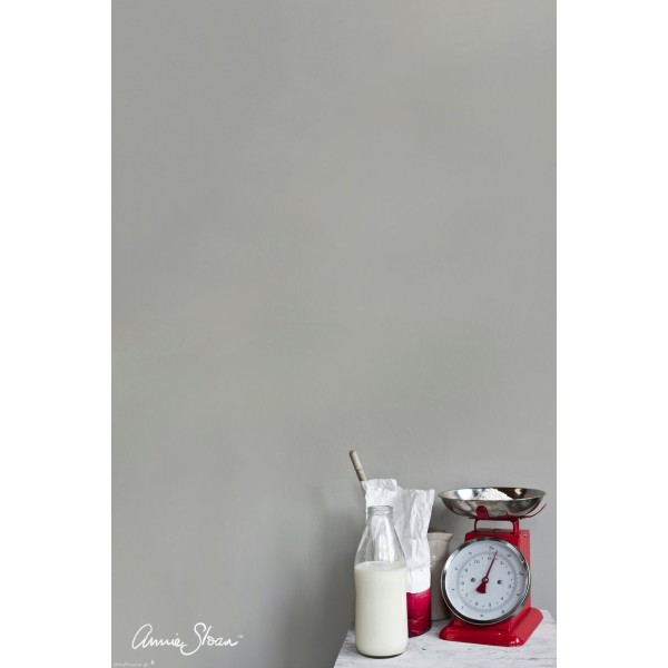 Peinture Wall Paint Annie Sloan Paris Grey 100ml
