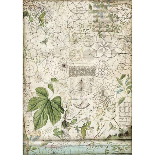 Papier de riz Stamperia 42x30cm géométrie feuillage