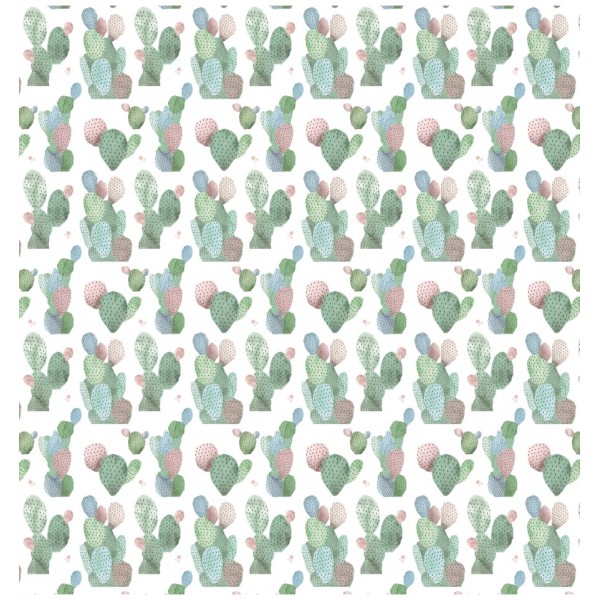 Papier scrapbooking assortiment Amelie Prager coctel de cactus 7fe 30x30