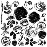 Tampons IOD Painterly Roses 30x30cm 22 pièces