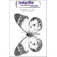 Tampon caoutchouc IndigoBlu Big Butterfly BB2 A6