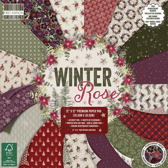 Papier scrapbooking assortiment winter rose bloc 48fe 30x30