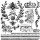 Tampons IOD Clear Stamps Queen Bee 16 pièces