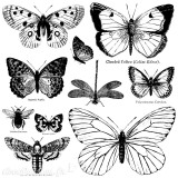 Tampons IOD Clear Stamps Butterflies 10 pièces